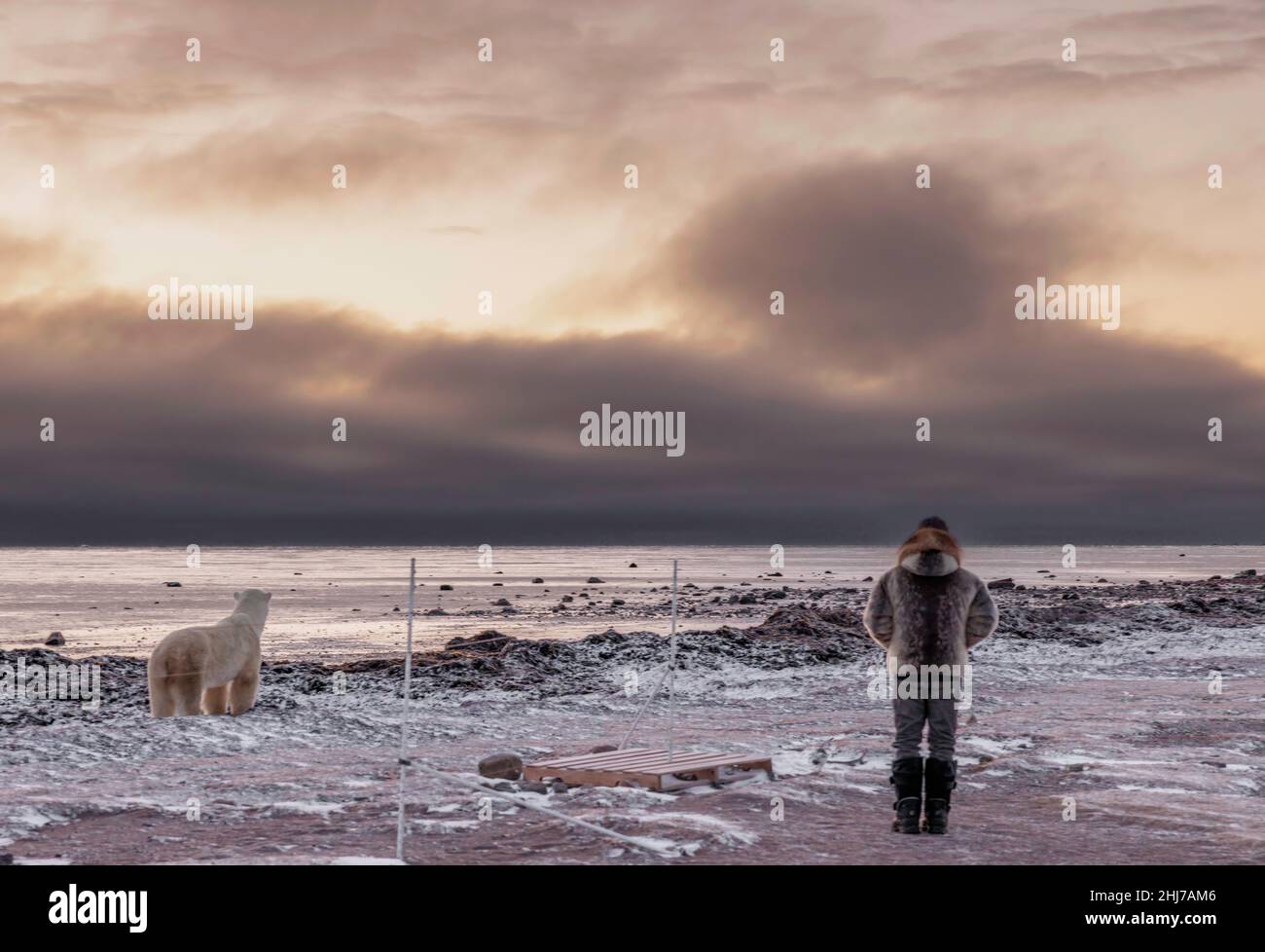 A solitary polar bear and a guide dressed in a fur jacket watch the sunrise over the Hudson Bay, separated by the wire strands of an electric fence Stock Photo