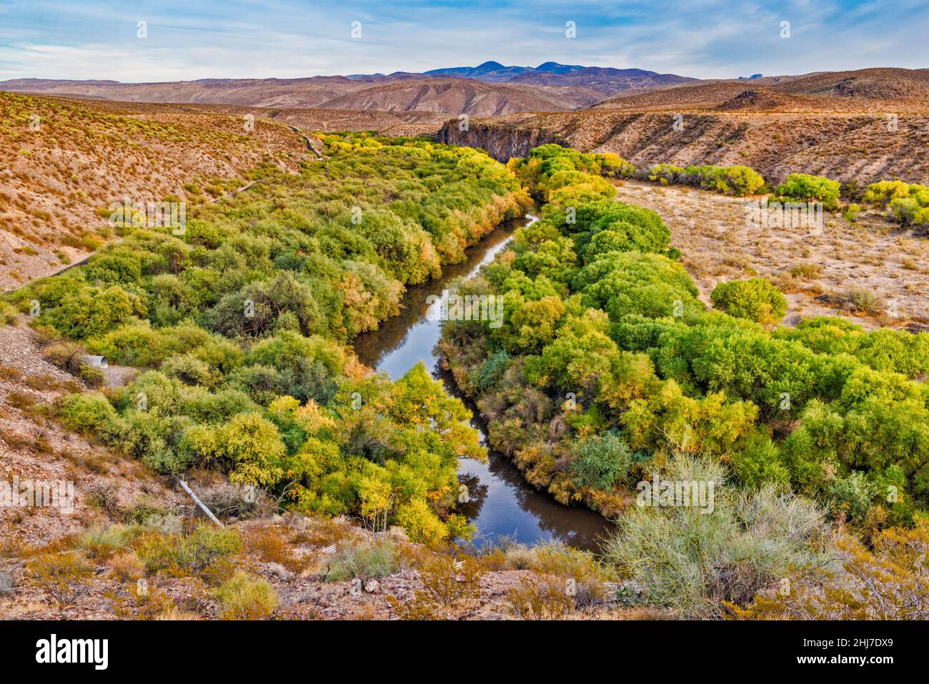 Gila River, riparian corridor at Spring Canyon, view from Bonita Creek Road, Gila Box Riparian 