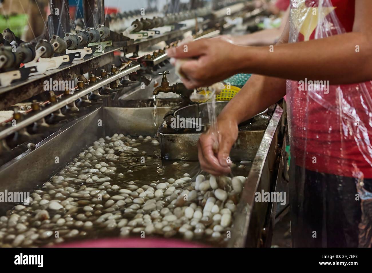 Small silk factory around Da Lat in Vietnam. Stock Photo