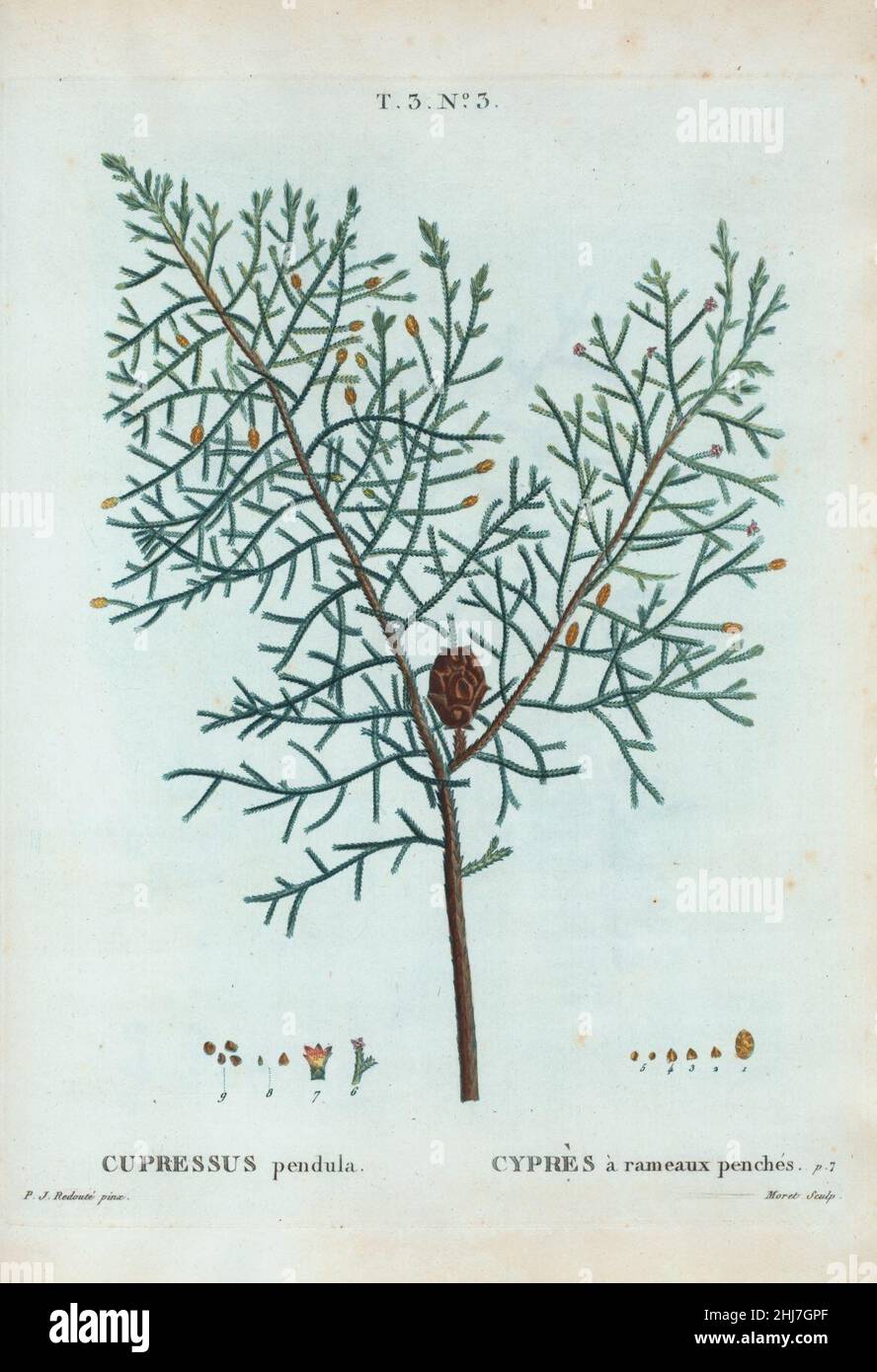 フォト ZX10R ビフォーアフター (1番最初の状態は2枚目画像です) #神鳴