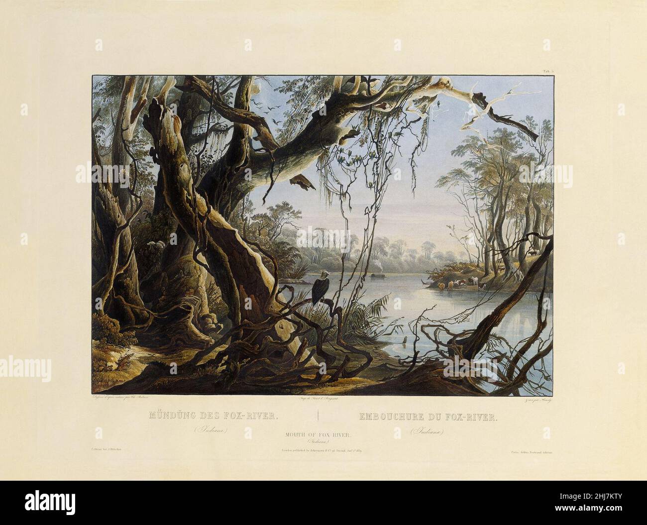Tableau 5 Mouth of Fox River (Indiana) by Karl Bodmer Stock Photo Alamy