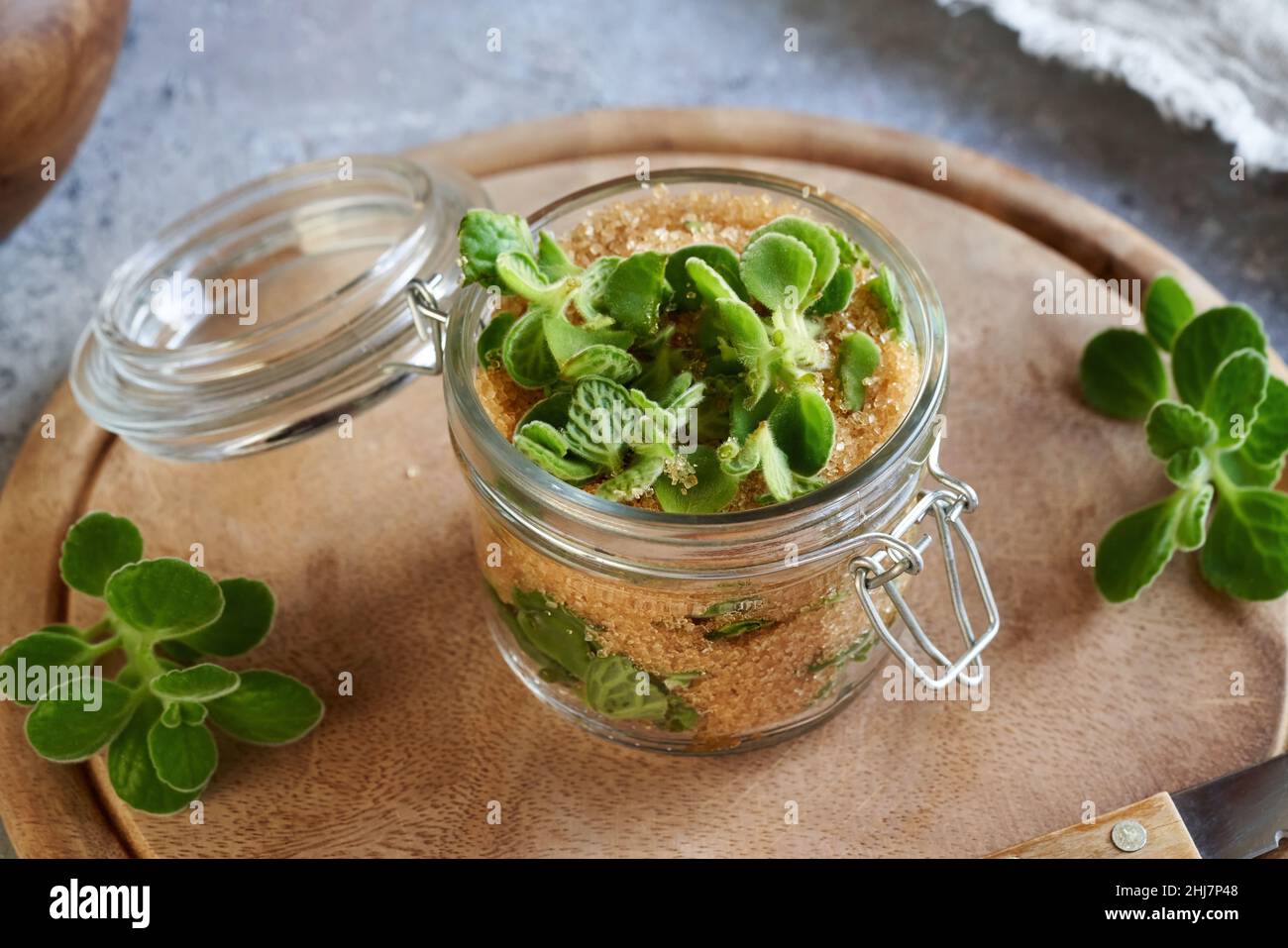 Fresh silver spurflower plant and cane suger in a glass jar - preparation of a homemade herbal syrup Stock Photo