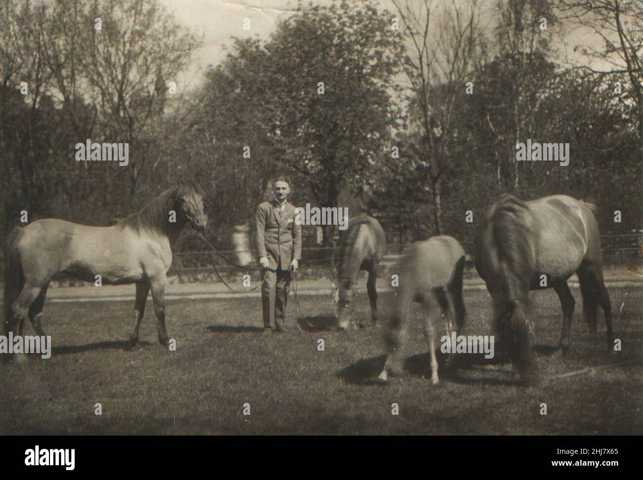Tadeusz Vetulani w ZOO w Poznaniu Stock Photo Alamy