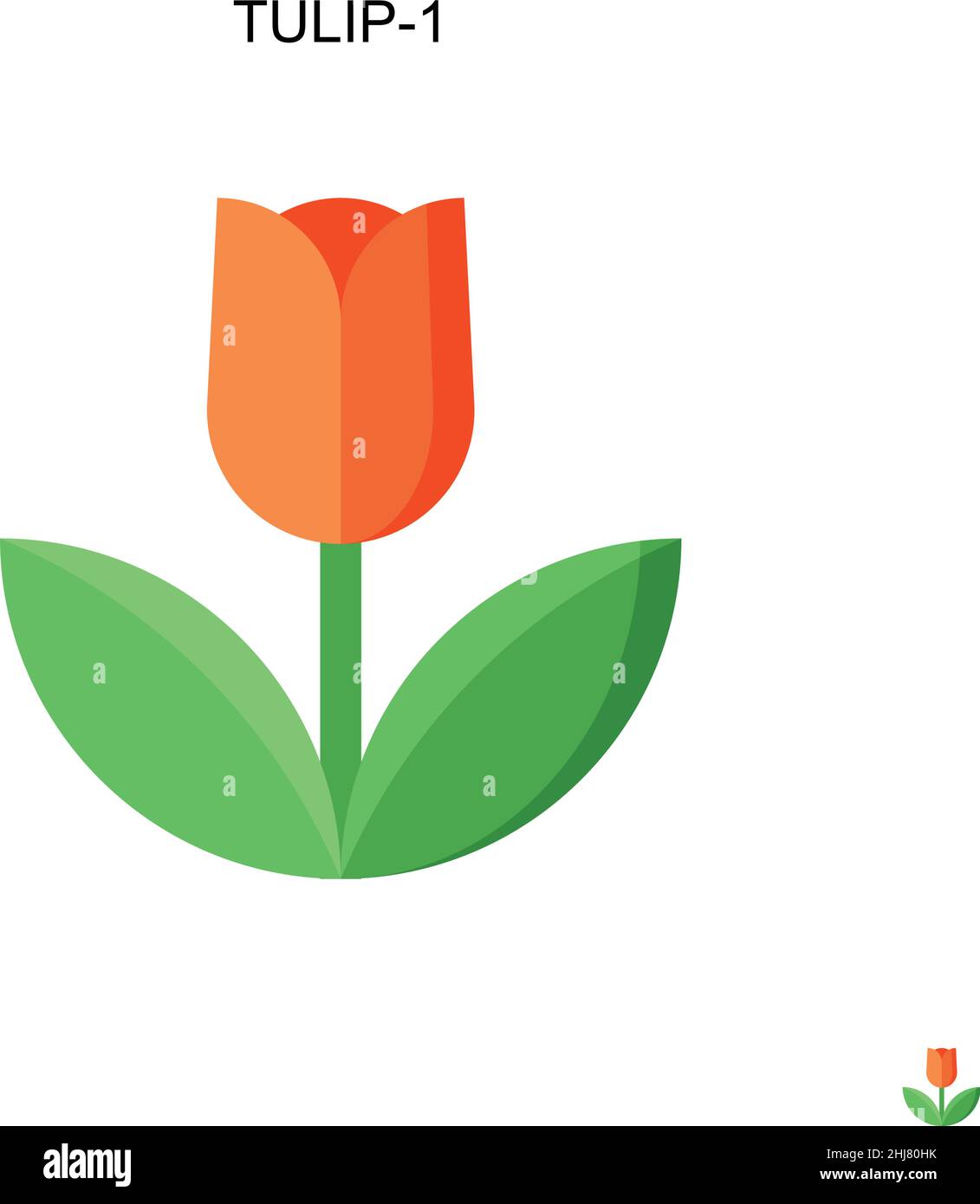 Simple tulip hi-res stock photography and images - Alamy