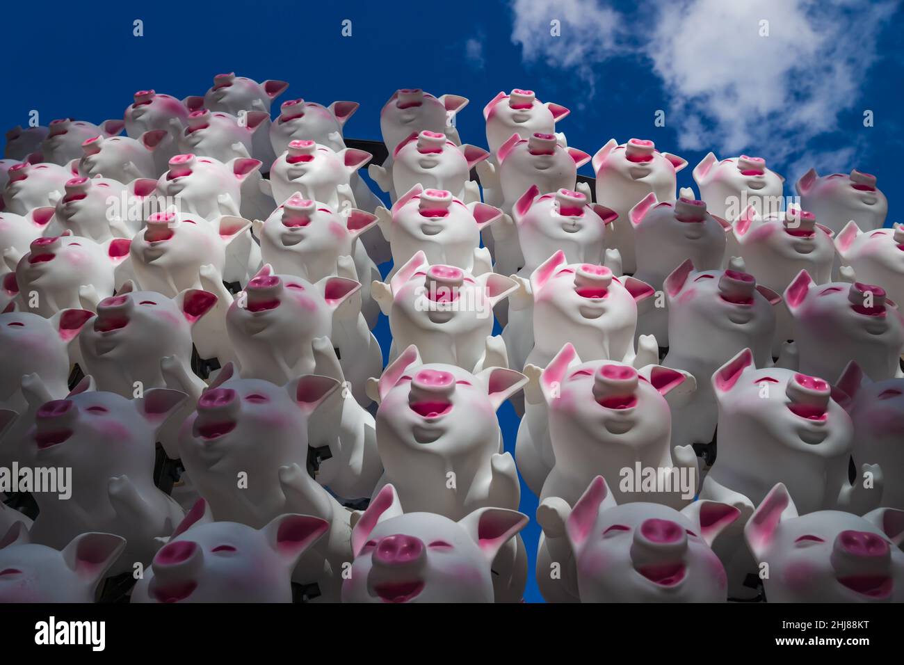 February Pigs Cartoon pink pig pigs hi-res stock photography and images - Alamy