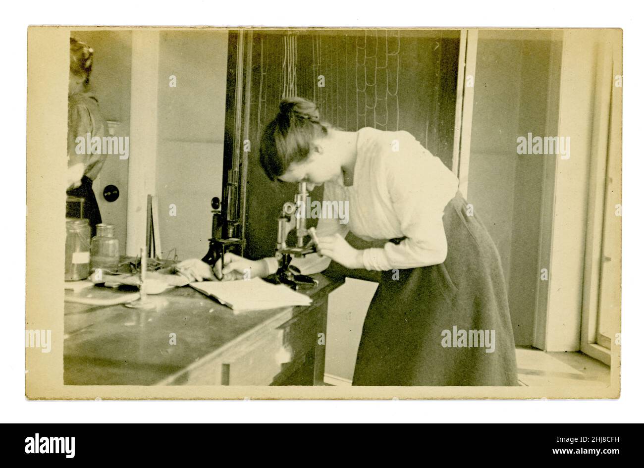 Original early 1900's WW1 era vintage postcards postcard of schoolgirl in the 6th form or university or college student looking down a microscope, in a biology lab that also doubles as a gym (climbing net in background), the young lady possibly has just dissected a frog as there are pond dipping jars and an open wallet of dissecting tools in front of her on the bench. circa 1915, UK. Stock Photo