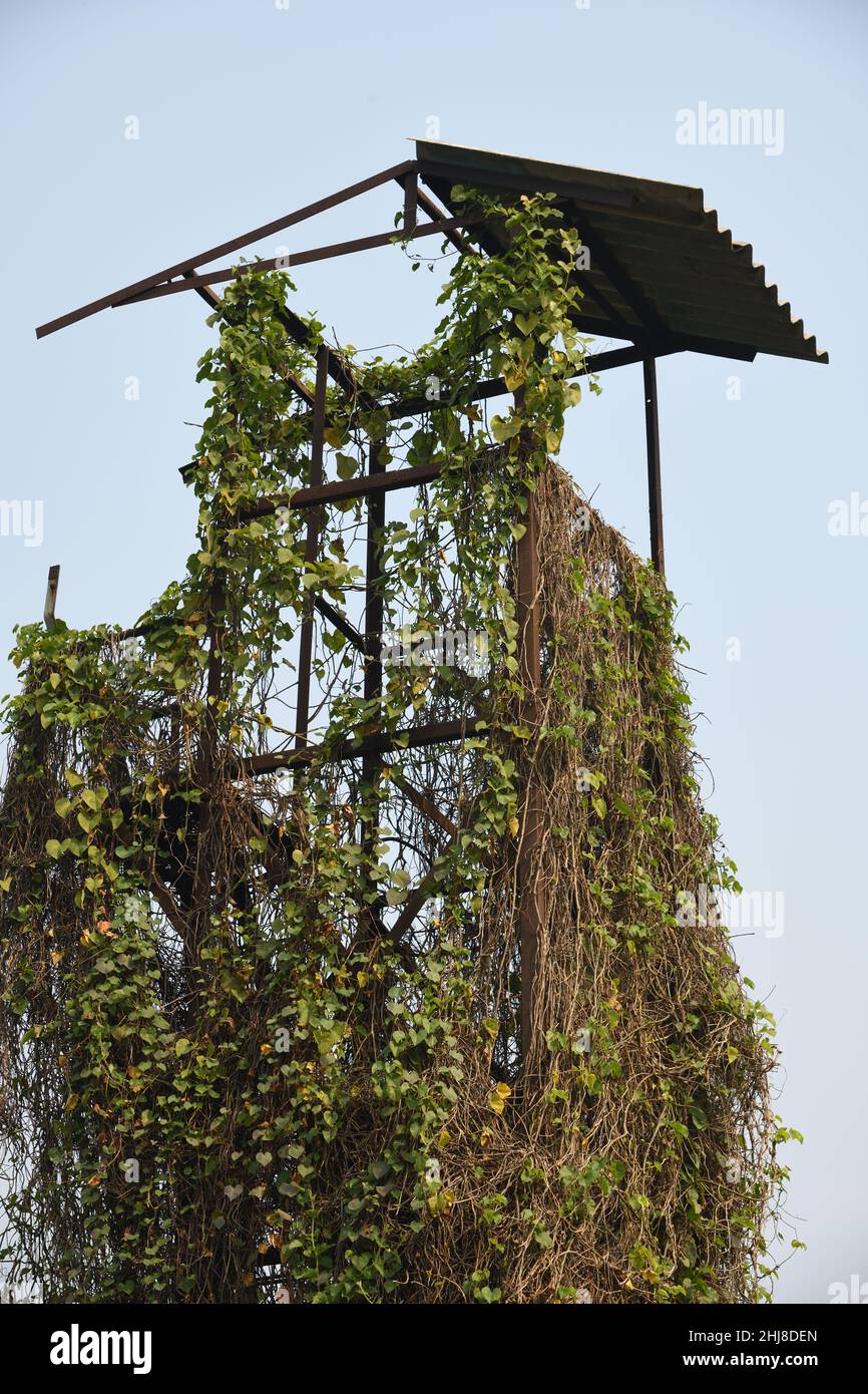 Abandoned watchtower of Padmapukur Water Treatment Plant. Howrah, West
