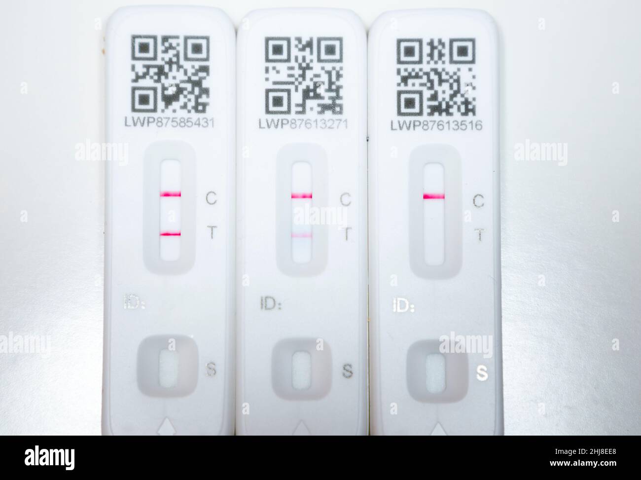 Two positive results and a single negative test result. Three Lateral flow test / LFT / LFD / lateral flow devices kits / device kit, two of which have tested positive (showing two red lines) for COVID 19 virus coronavirus during antigen home testing, in London. UK. To show positive, two red lines will appear. One test shows the positive line to be feint / faint. The third test showing one line only is a negative test. The test (by Flowfex made in China) has detected virus in the sample nasal swab taken from the nose. The tests illustrate recovery and recovering from Covid infection. (128) Stock Photo