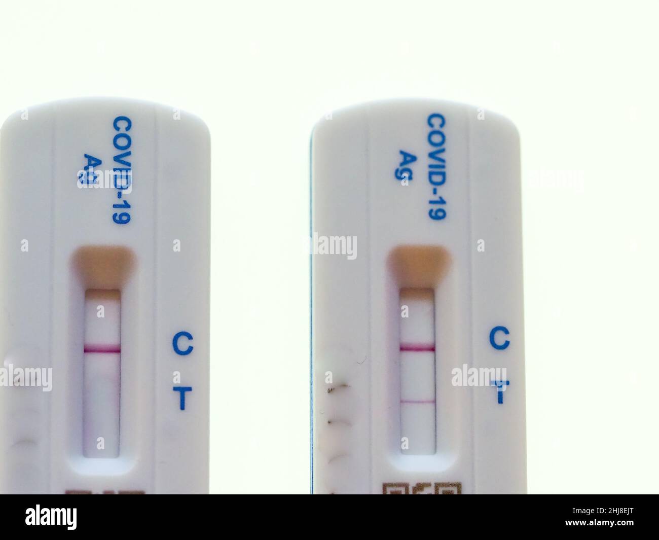 close-up of two lateral flow test results, one negative, one positive Stock Photo