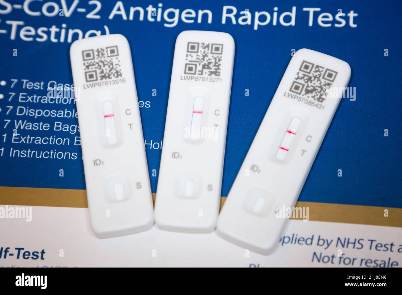 Two positive results and a single negative test result. Three Lateral flow test / LFT / LFD / lateral flow devices kits / device kit, two of which have tested positive (showing two red lines) for COVID 19 virus coronavirus during antigen home testing, in London. UK. To show positive, two red lines will appear. One test shows the positive line to be feint / faint. The third test showing one line only is a negative test. The test (by Flowfex made in China) has detected virus in the sample nasal swab taken from the nose. (128) Stock Photo