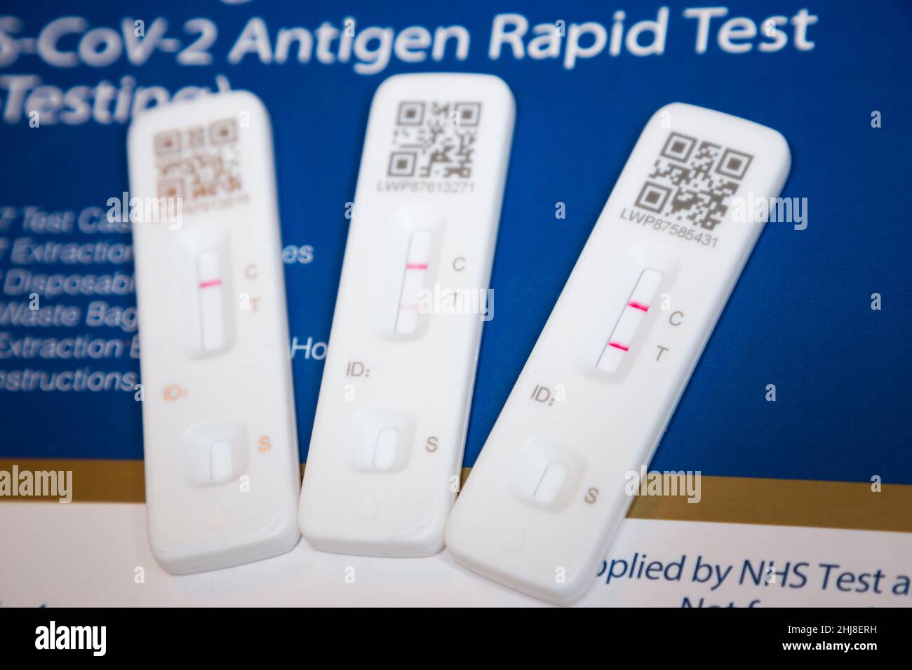Two positive results and a single negative test result. Three Lateral flow test / LFT / LFD / lateral flow devices kits / device kit, two of which have tested positive (showing two red lines) for COVID 19 virus coronavirus during antigen home testing, in London. UK. To show positive, two red lines will appear. One test shows the positive line to be feint / faint. The third test showing one line only is a negative test. The test (by Flowfex made in China) has detected virus in the sample nasal swab taken from the nose. (128) Stock Photo