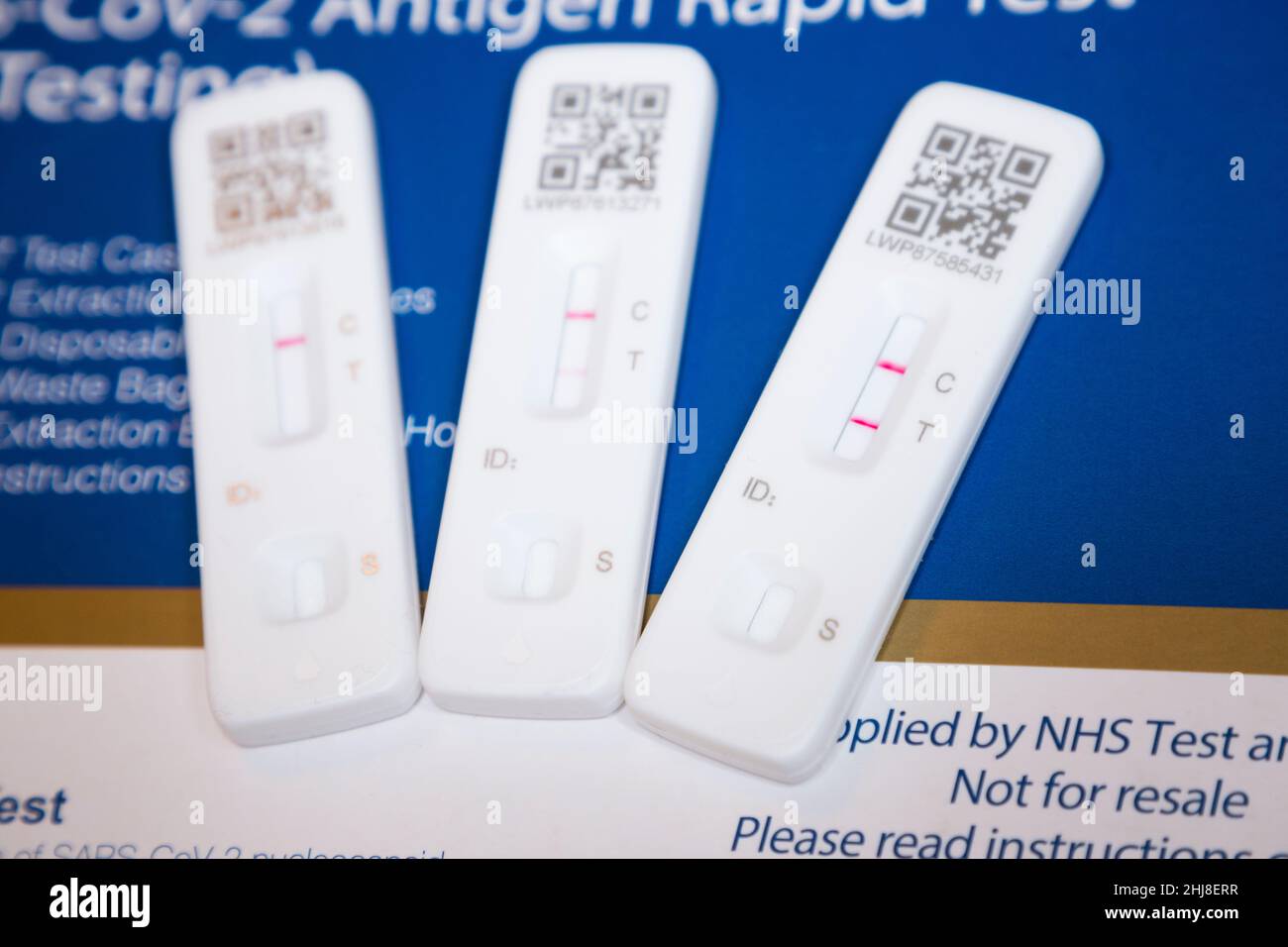 Two positive results and a single negative test result. Three Lateral flow test / LFT / LFD / lateral flow devices kits / device kit, two of which have tested positive (showing two red lines) for COVID 19 virus coronavirus during antigen home testing, in London. UK. To show positive, two red lines will appear. One test shows the positive line to be feint / faint. The third test showing one line only is a negative test. The test (by Flowfex made in China) has detected virus in the sample nasal swab taken from the nose. (128) Stock Photo