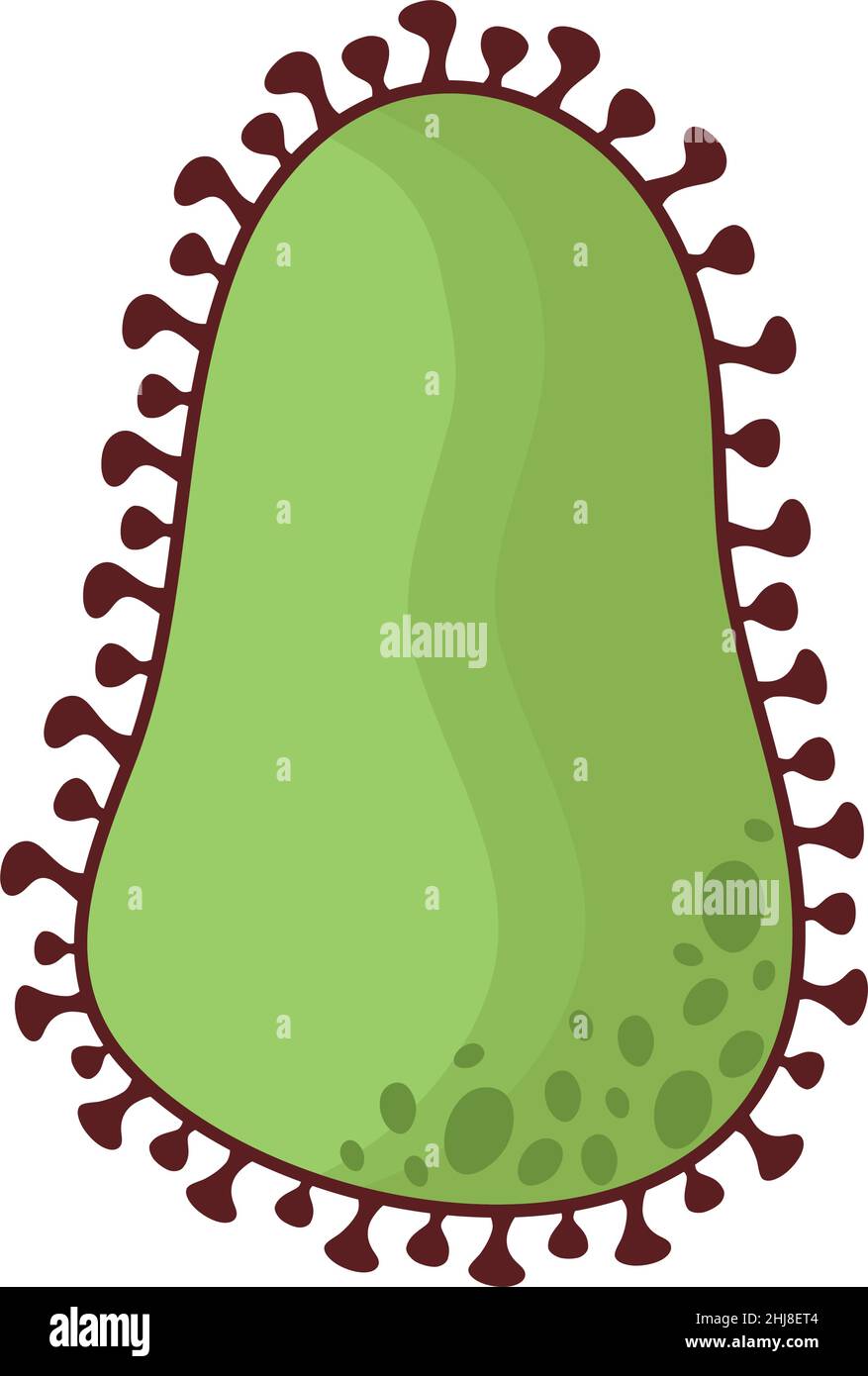 green bacterium illustration Stock Vector Image & Art - Alamy