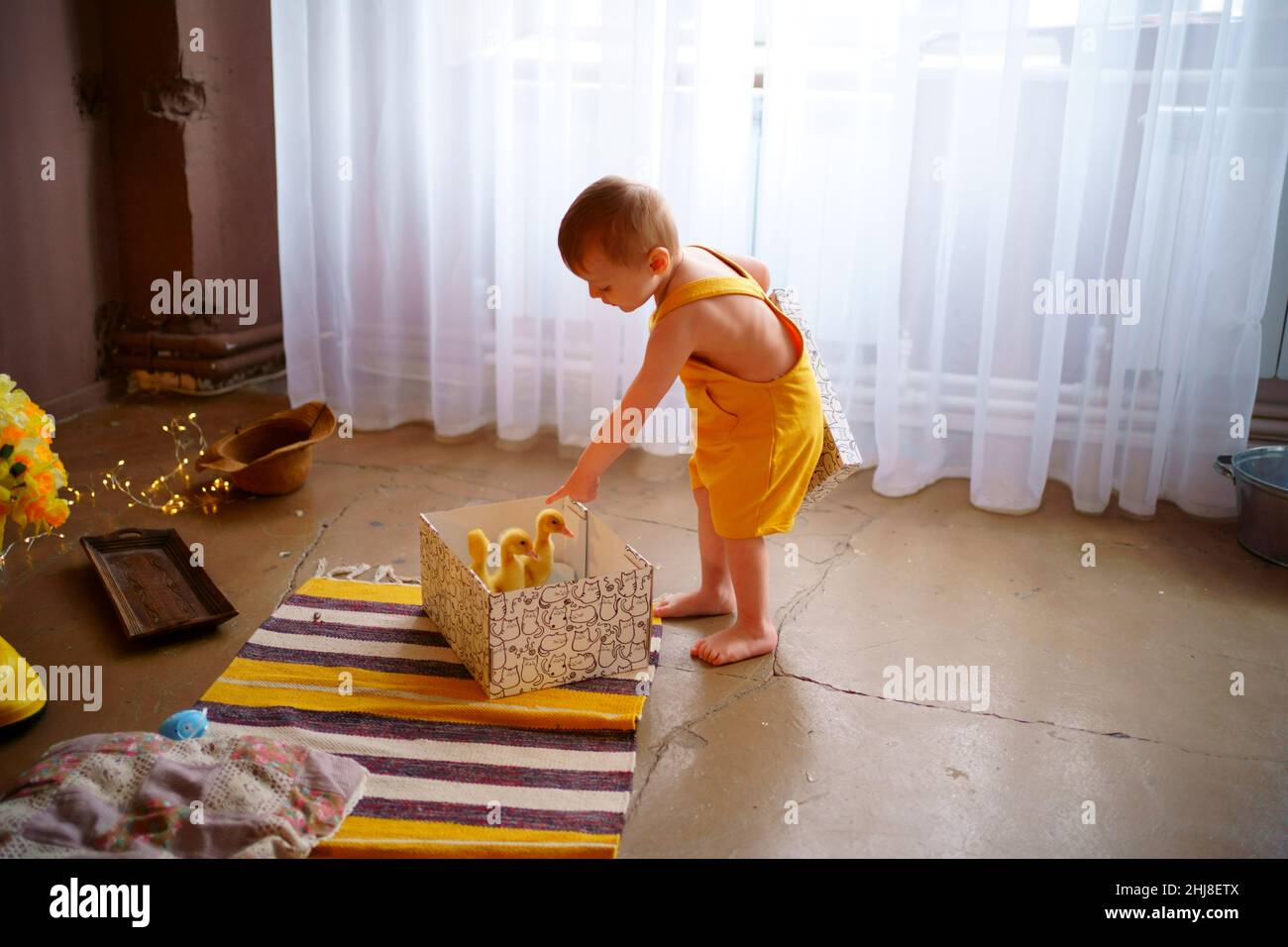 baby for easter, box with geese Stock Photo