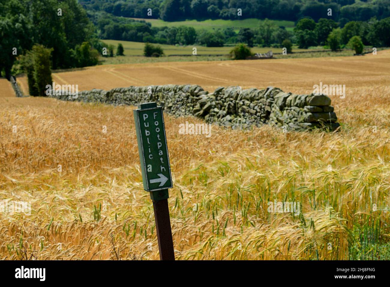 Footpath sign in scenic farm field of ripening golden awned barley (arable farmland cereal crop growing in countryside) - North Yorkshire, England UK. Stock Photo
