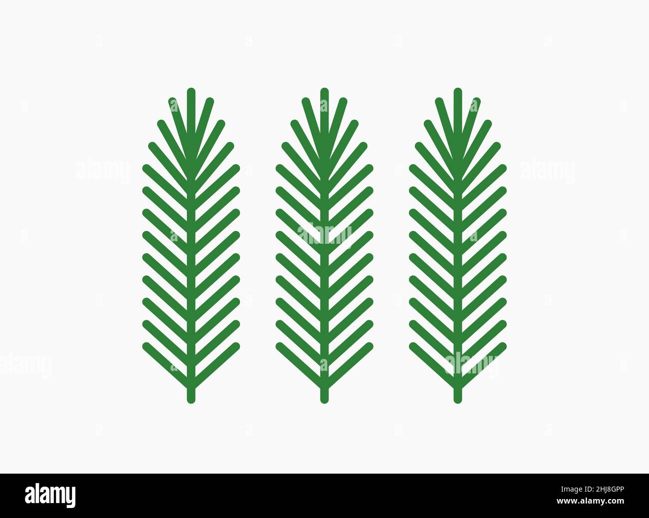 Christmas tree fir branches isolated on white background. Vector ...
