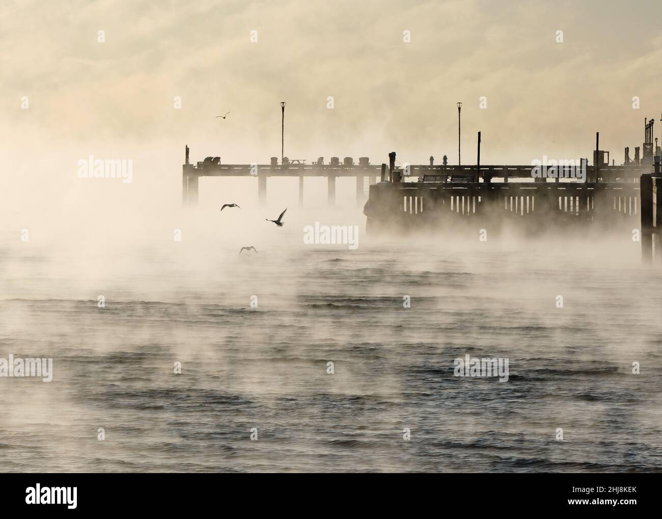 Halifax, Nova Scotia, Canada. January 27th, 2022. The Halifax boardwalk is engulfed in morning steam coming from ocean, as a cold front hits the city overnight, with real feel temperature dropping to -25C, steam fog rises from the harbour early this morning. Credit: meanderingemu/Alamy Live News Stock Photo