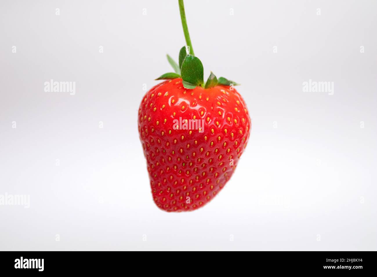 Fresh ripe strawberry on white background Stock Photo - Alamy