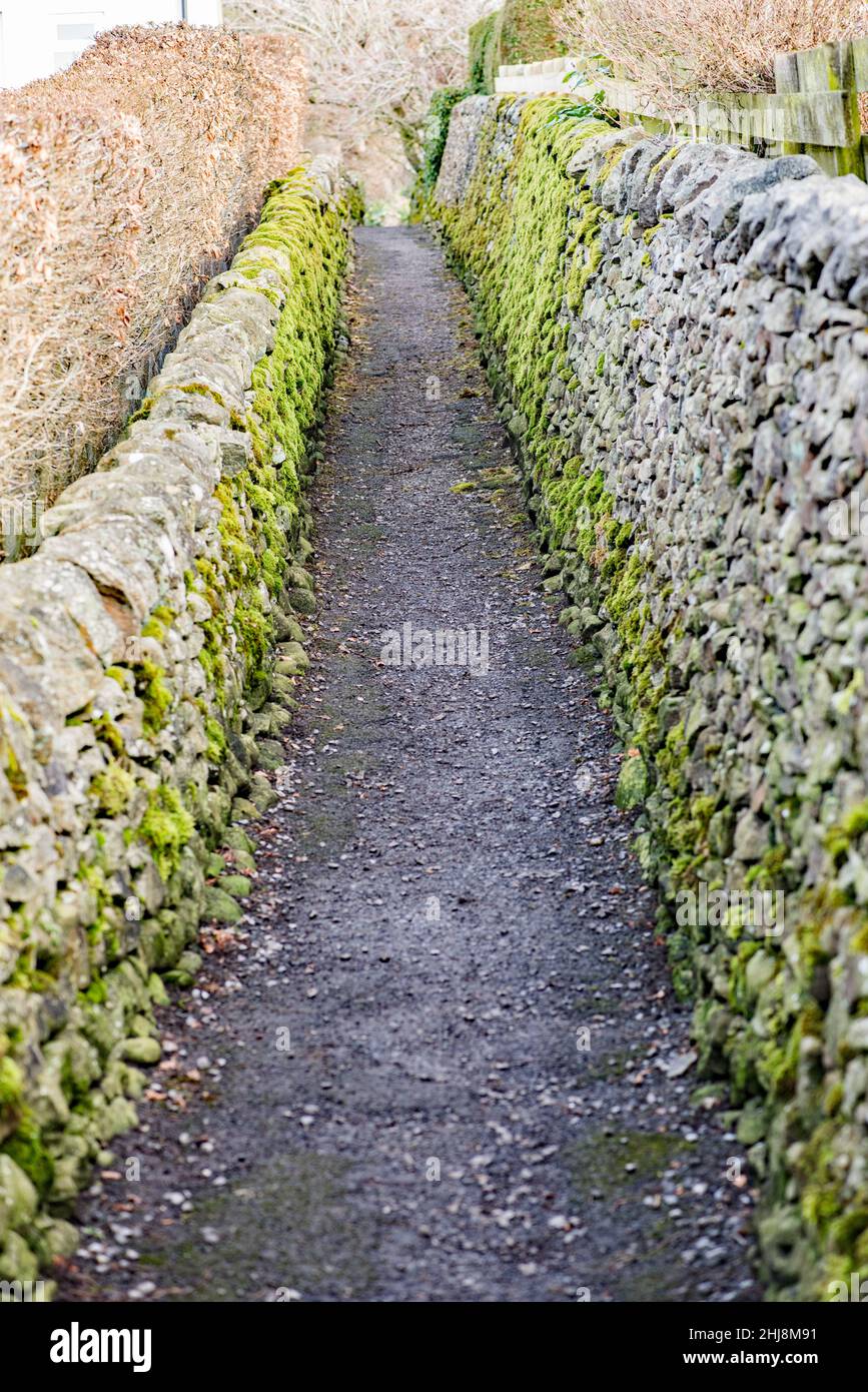 The ginnel to back lane long preston hires stock photography and