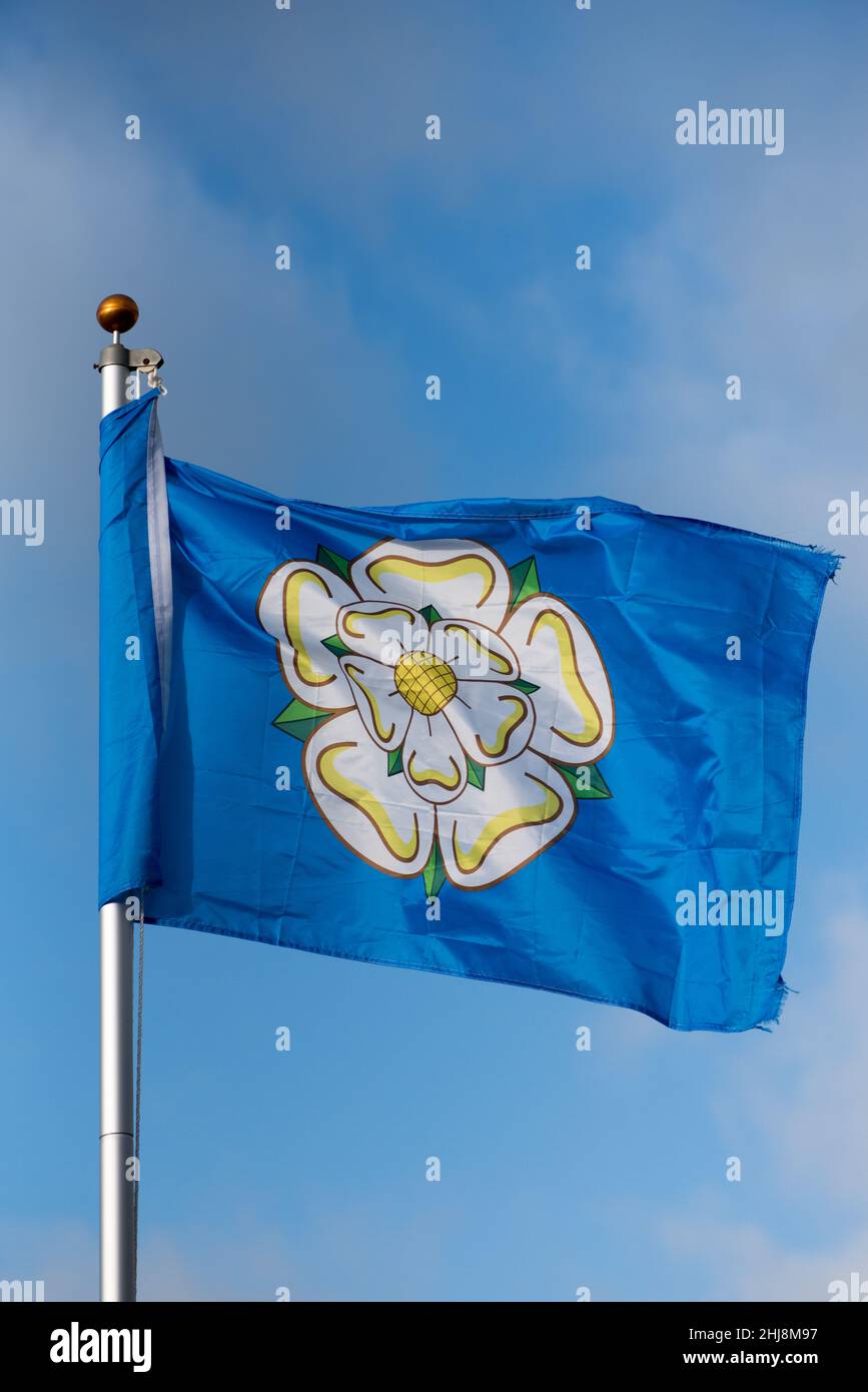 The current Yorkshire county flag, a white rose on a blue background & symbol of the House of York .Yorkshire symbolism. Stock Photo