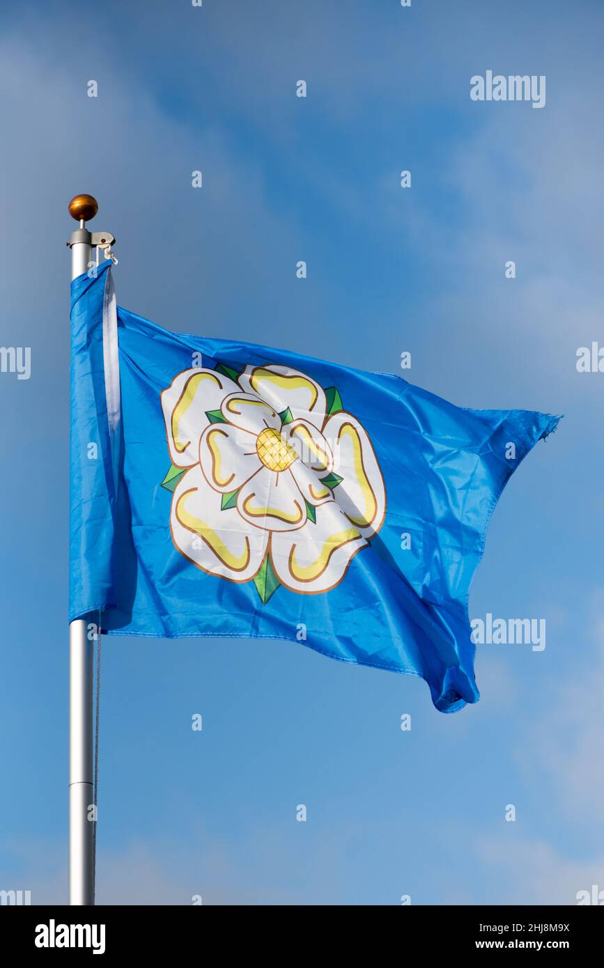 The current Yorkshire county flag, a white rose on a blue background & symbol of the House of York .Yorkshire symbolism. Stock Photo