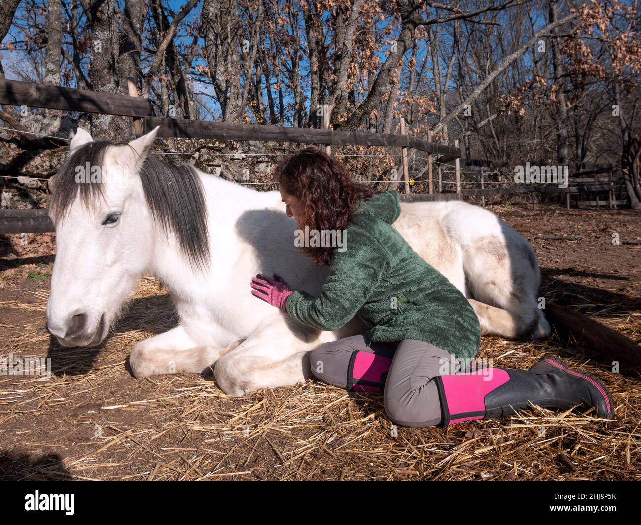 Close up of female in green polar fleece jacket doing energy healing work to a white pony. Stock Photo