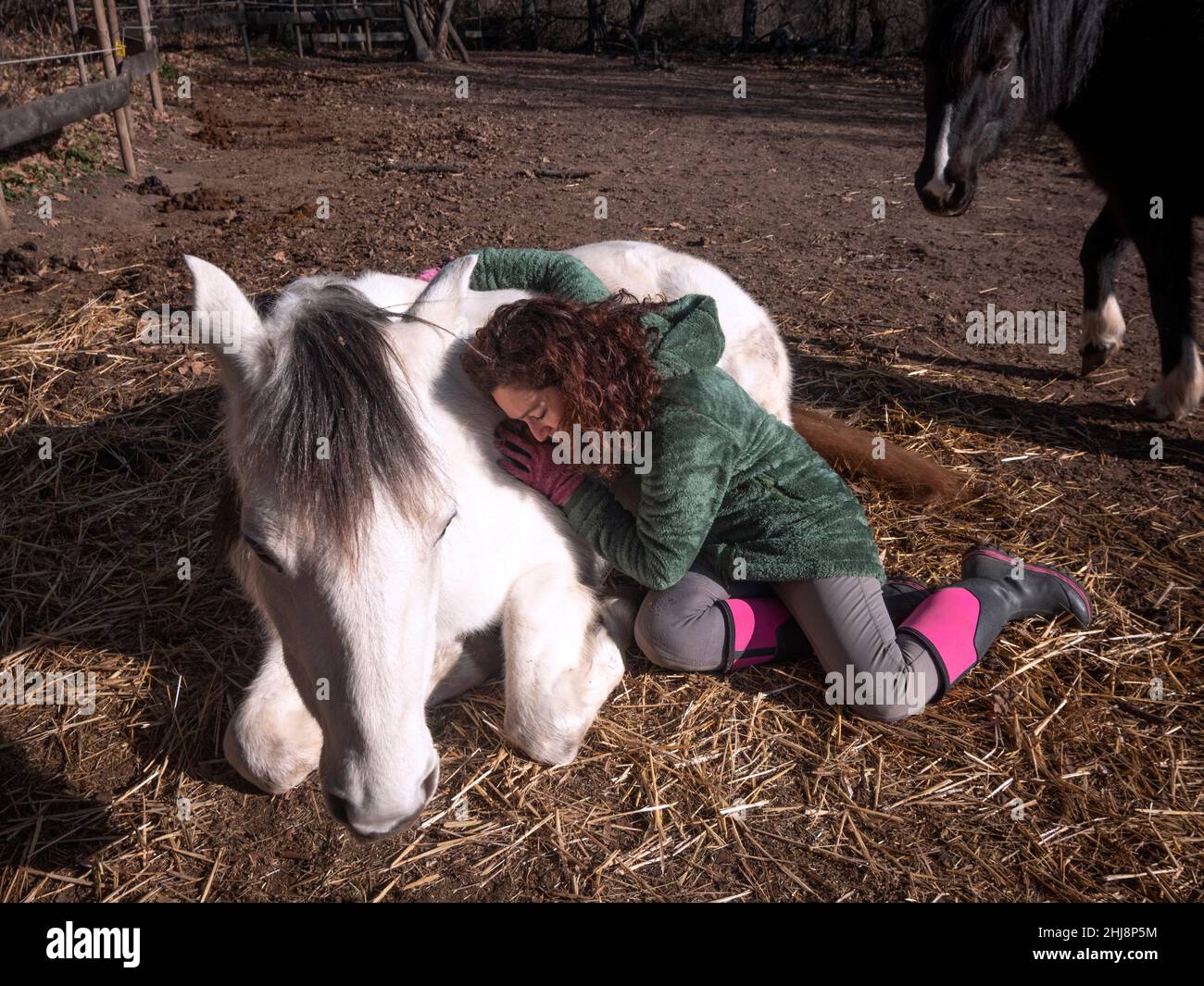 Female in green polar fleece jacket hugging a white pony and black  pony in the background. Stock Photo