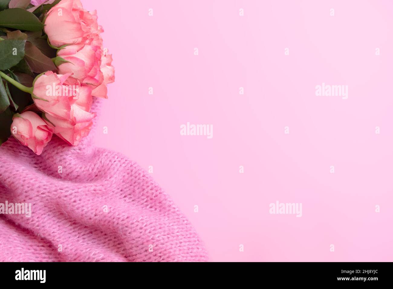 Gentle, romantic, feminine background with beautiful roses bouquet and knitted blanket on pastel pink background Stock Photo