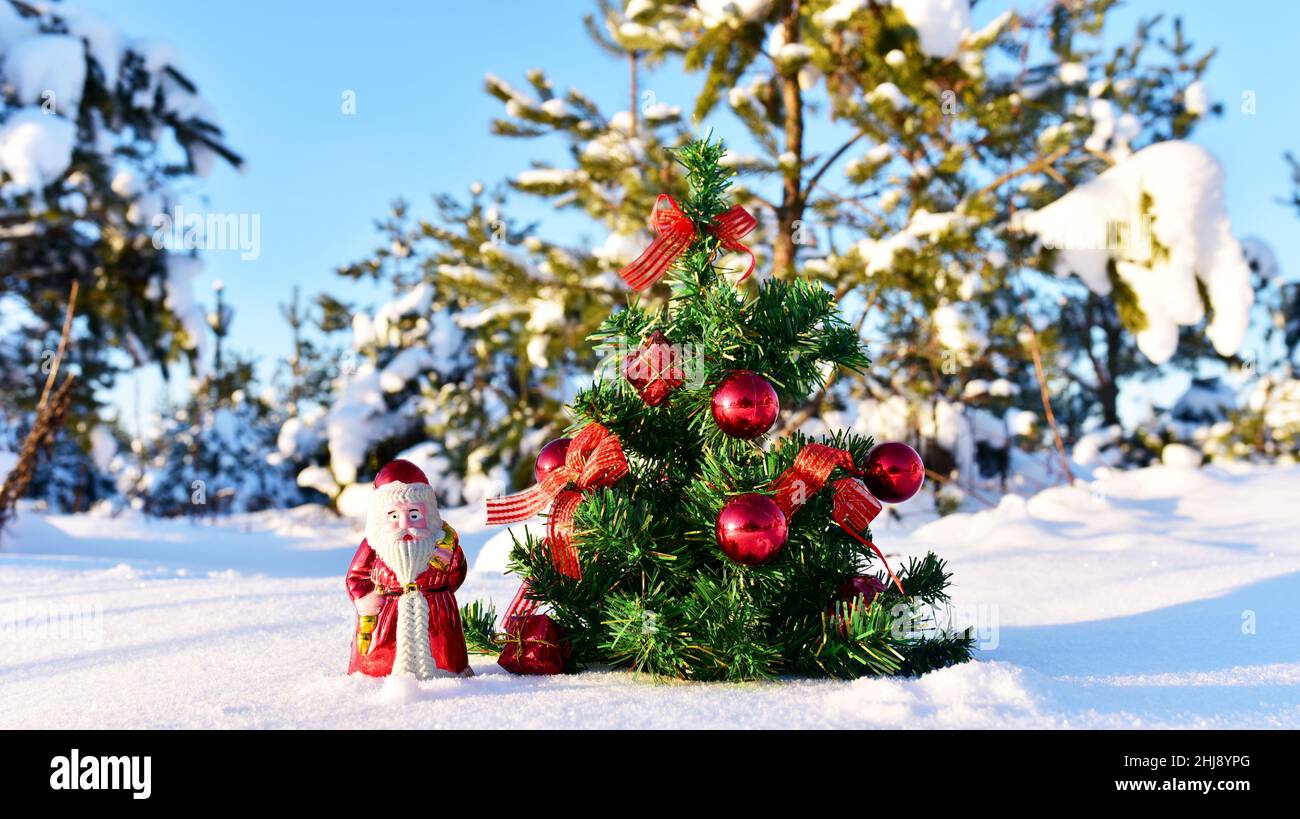 Christmas tree toys on a natural christmas tree. Santa Claus in winter ...