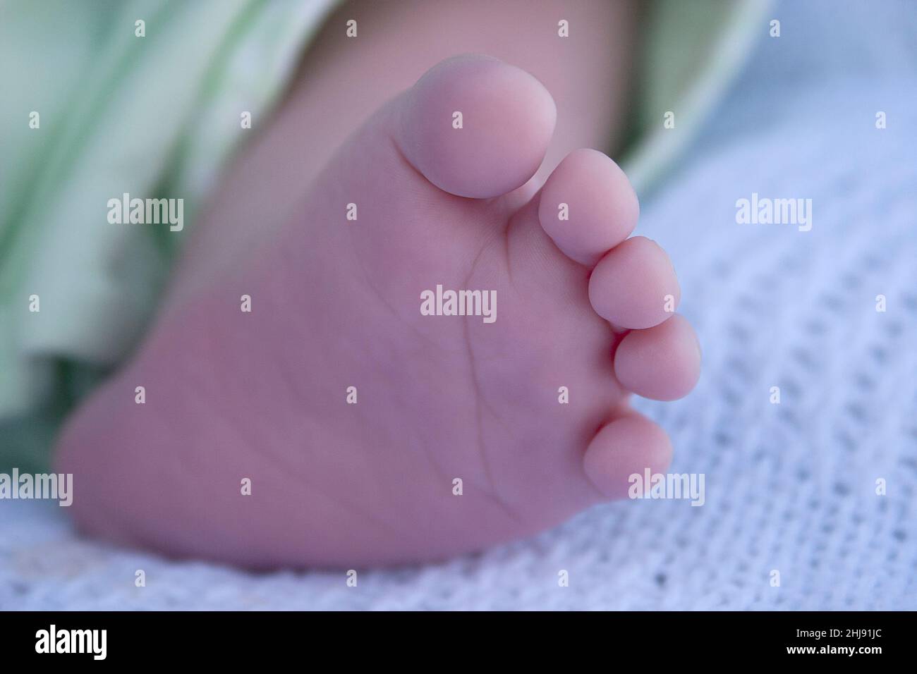 newborn baby's tiny foot Stock Photo Alamy