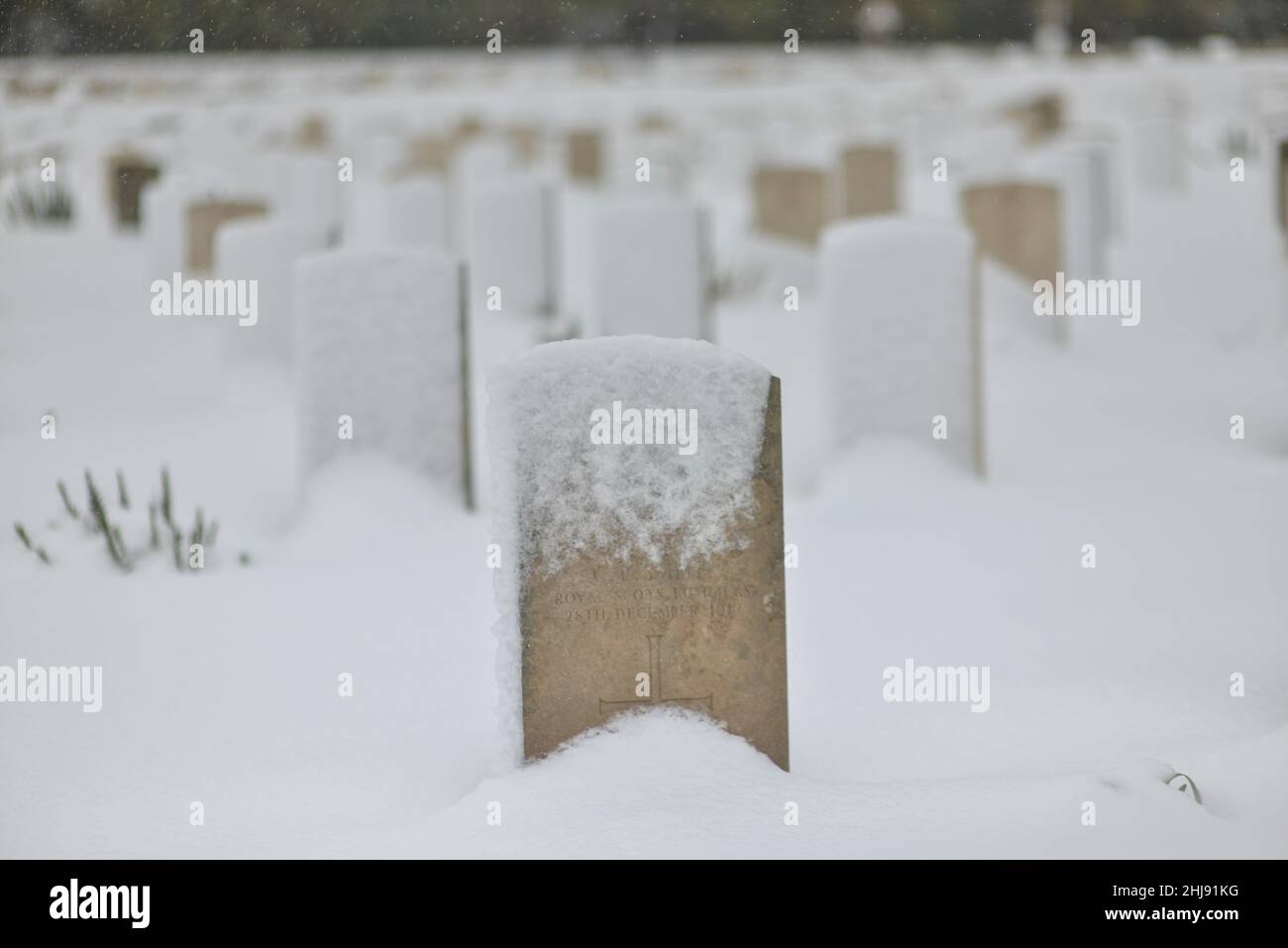 The British Military Cemetery for fallen servicemen of the British Commonwealth in World War I in Palestine. Jerusalem, Israel. Jan 27th 2022. ( Credit: Matan Golan/Alamy Live News Stock Photo