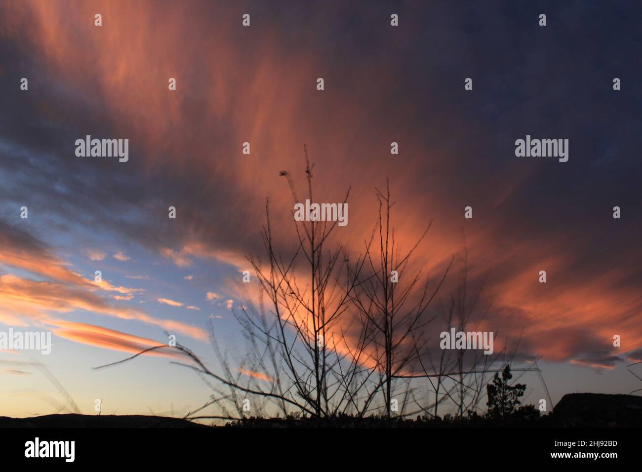 blurred branches against the clouds background - B?rum Stock Photo