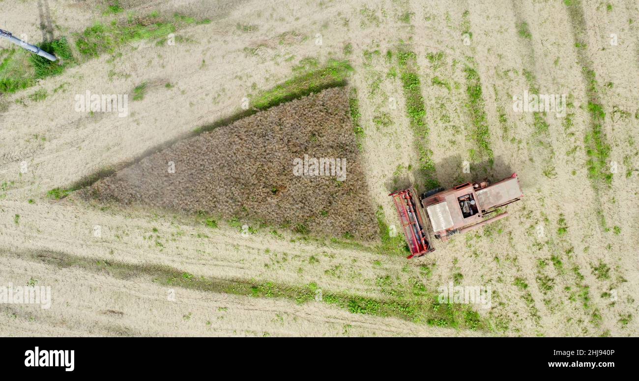 Agriculture Harvester Harvesting Field Aerial View Stock Photo - Alamy