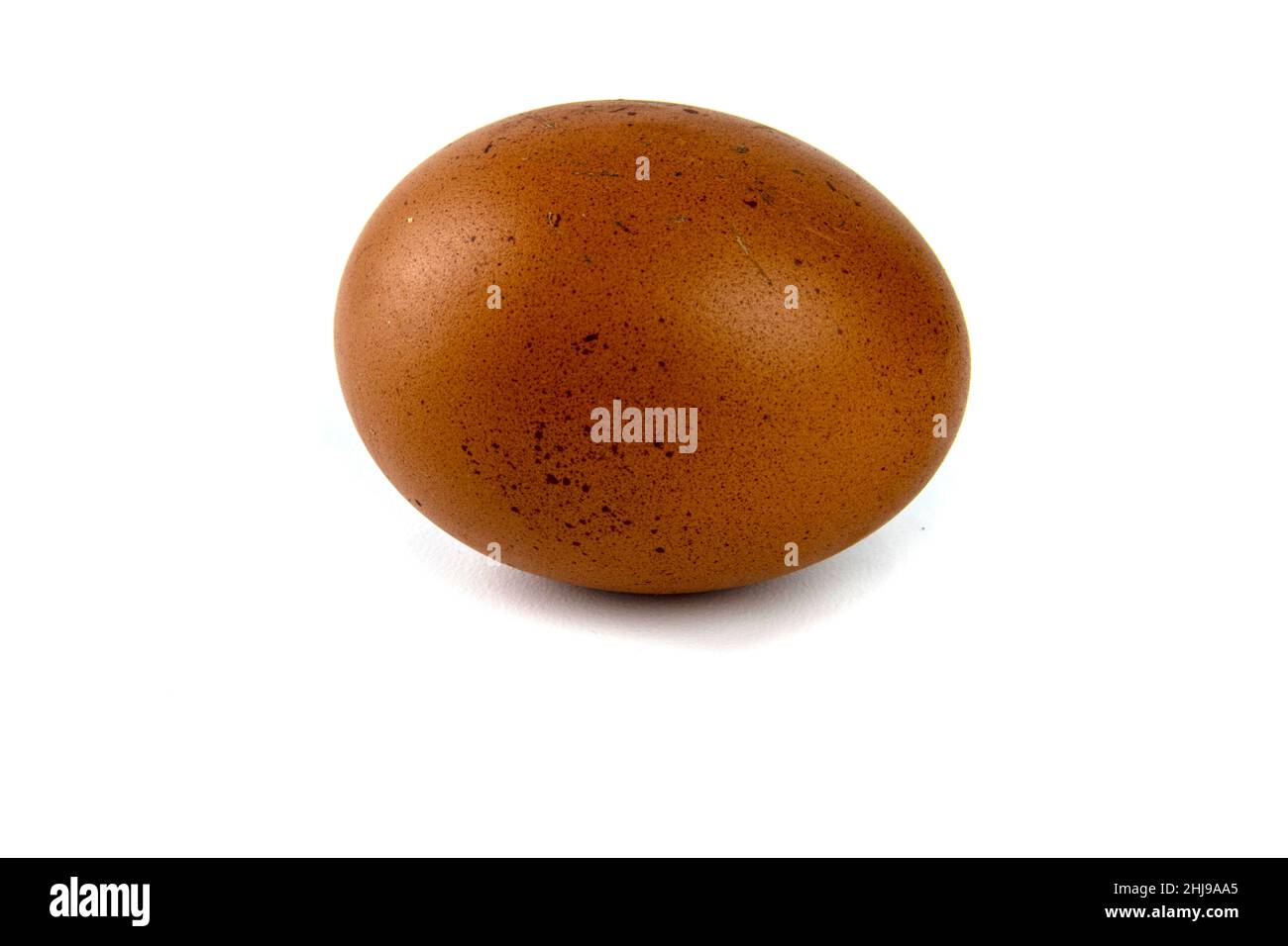 Chicken egg isolated on white Stock Photo