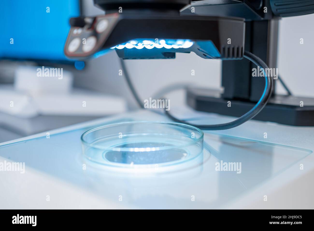 A modern electronic microscope for examing samples in Petri dish in the biochemical or medical laboratory. Stock Photo
