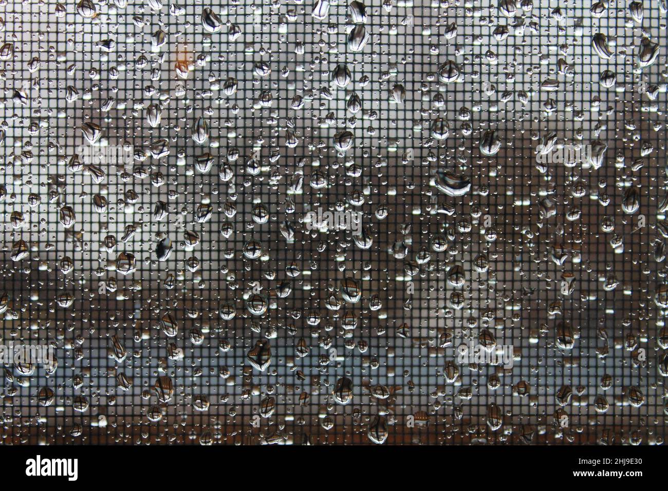 Close-up of raindrops accumulated on a wondow and wire mesh screen. Stock Photo