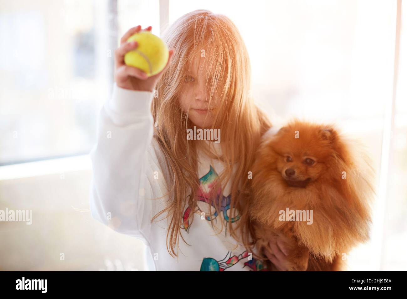 Cute child playing with his dog friend on the window. soft focus Stock Photo
