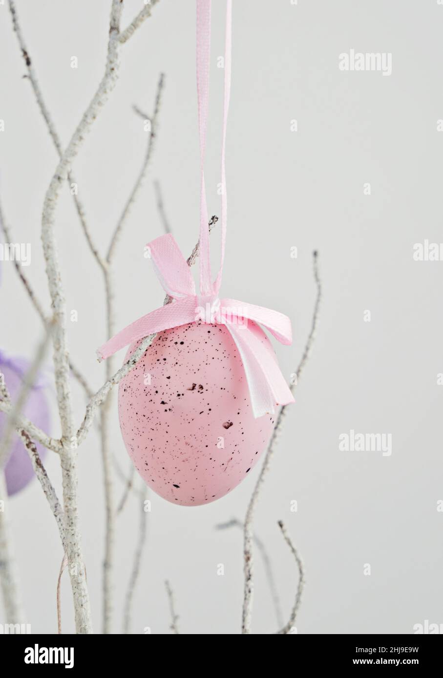 Pink decorative Easter egg hanging on dry branch on white Stock Photo