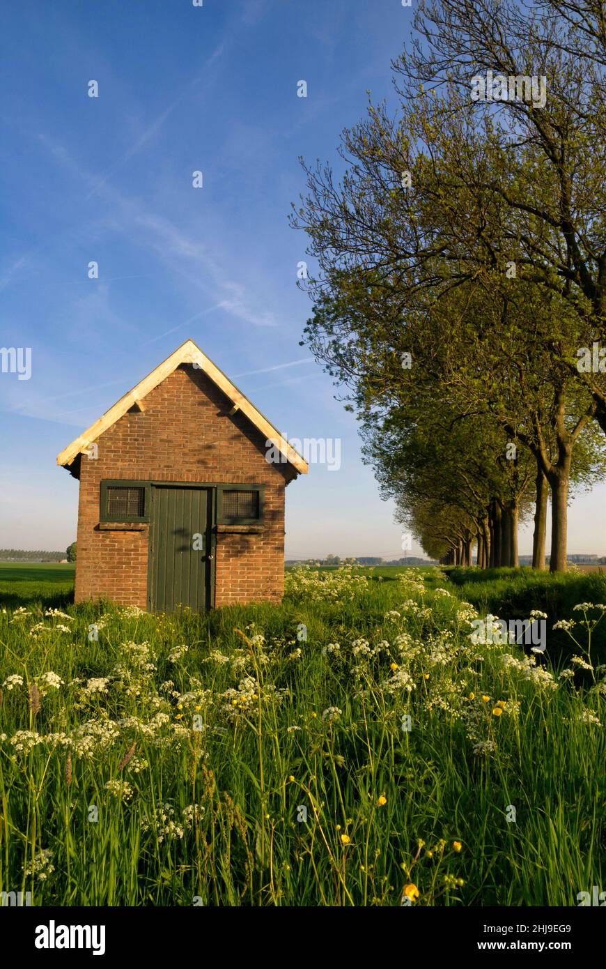 Shed in a field near the Dutch city Dordrecht Stock Photo