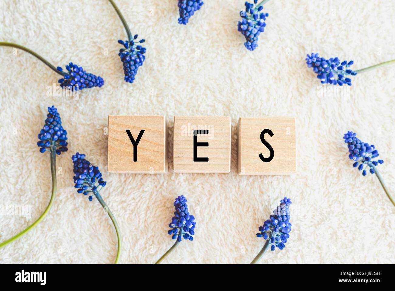 The word Yes written in black letters on wood blocks Stock Photo