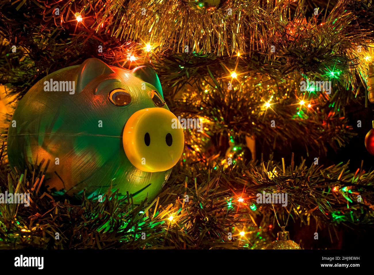 Fat piggy bank in a christmas tree Stock Photo