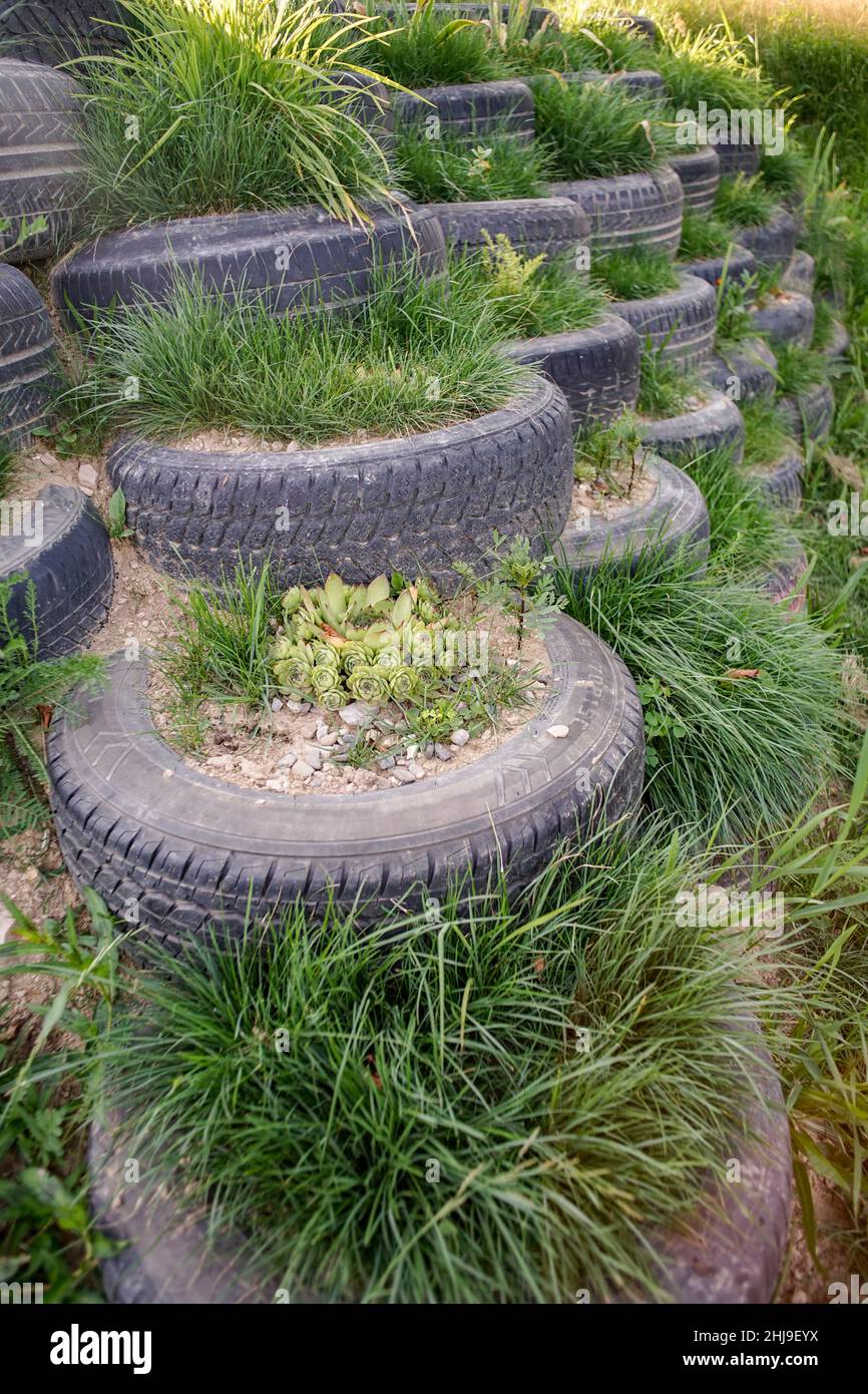 Rammed earth tyre wall, with plants and grass Stock Photo