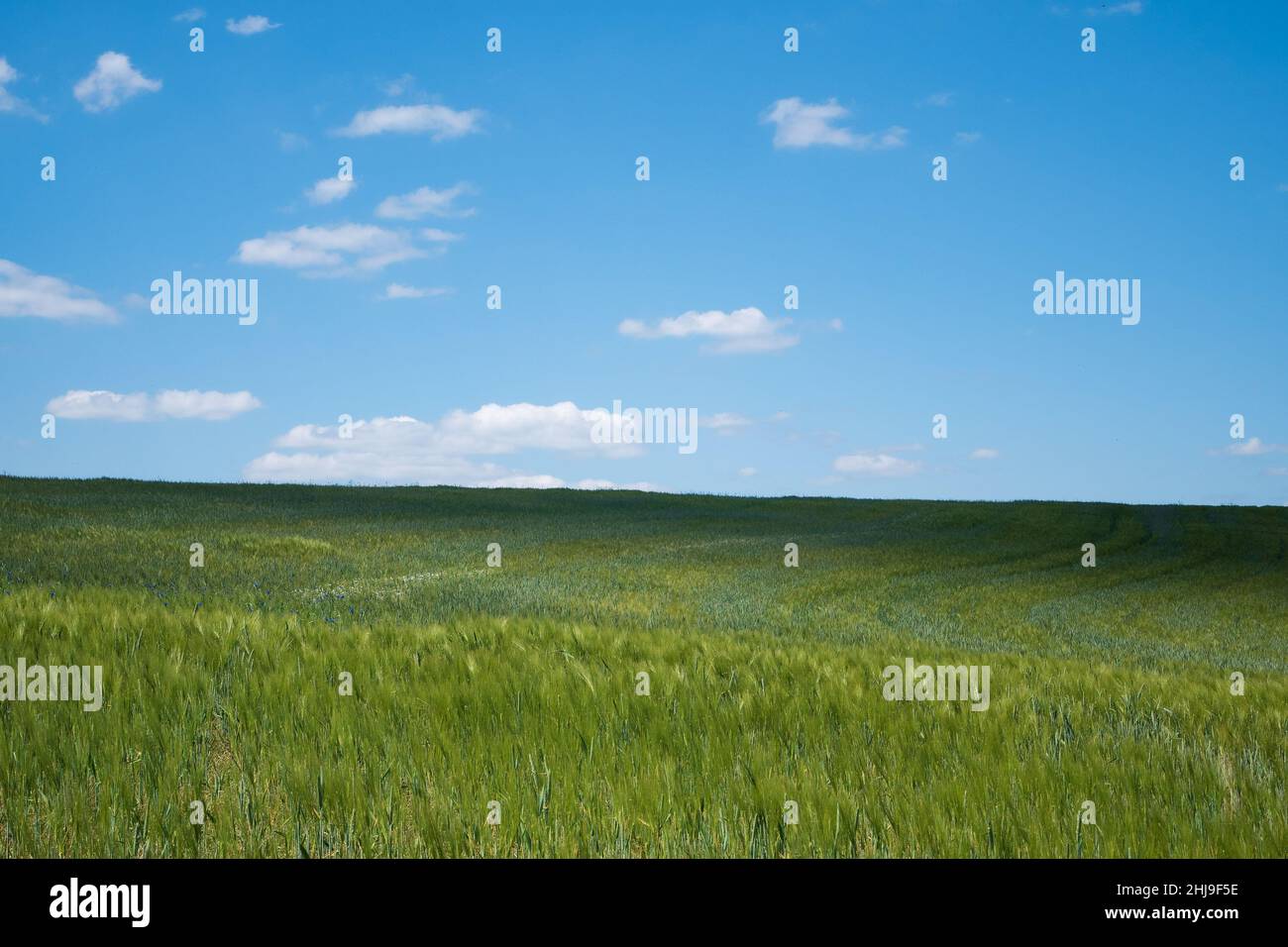Green hills, blue sky, windows like Stock Photo