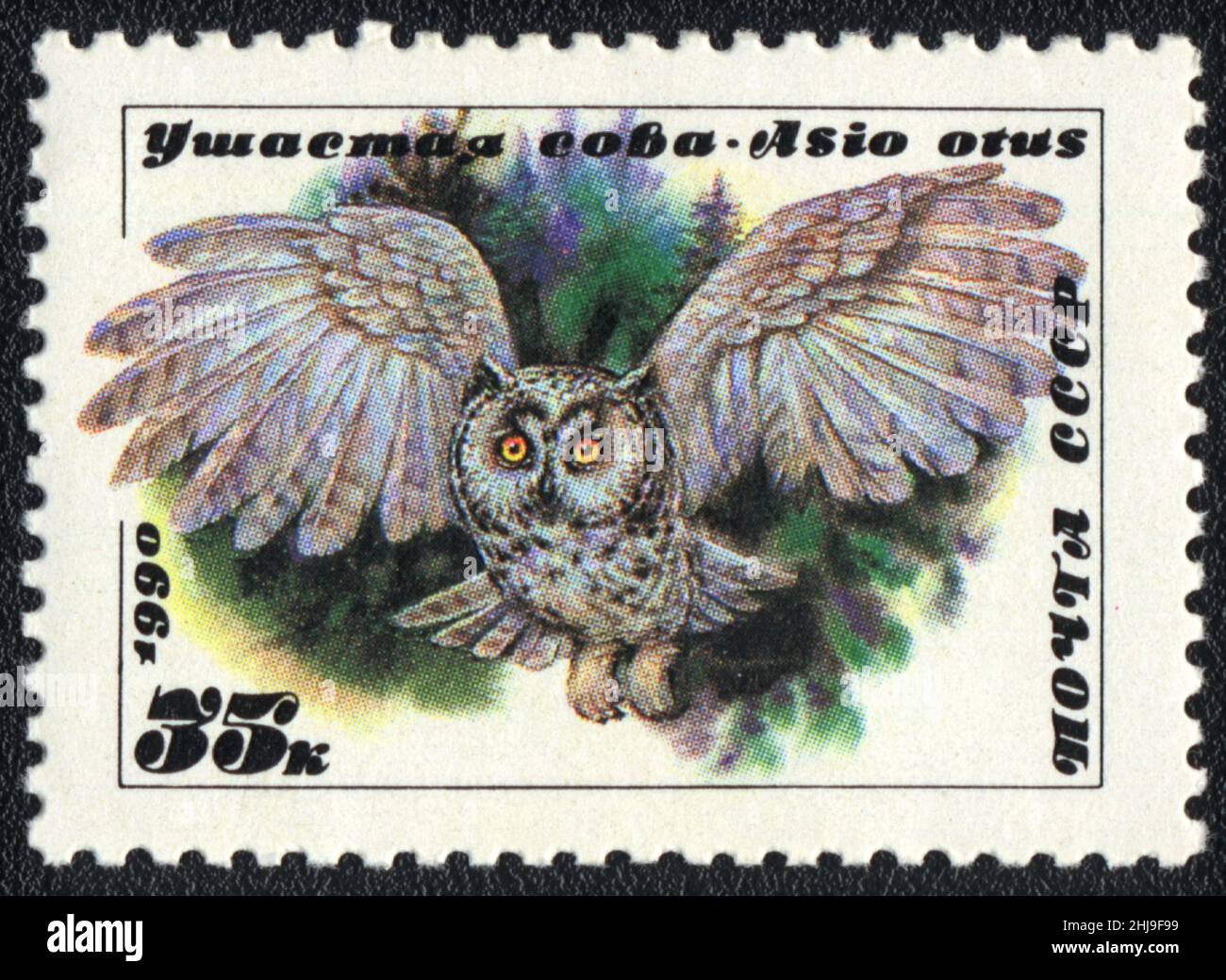 A postage stamp printed in USSR shows Long-eared owl, 1990 Stock Photo