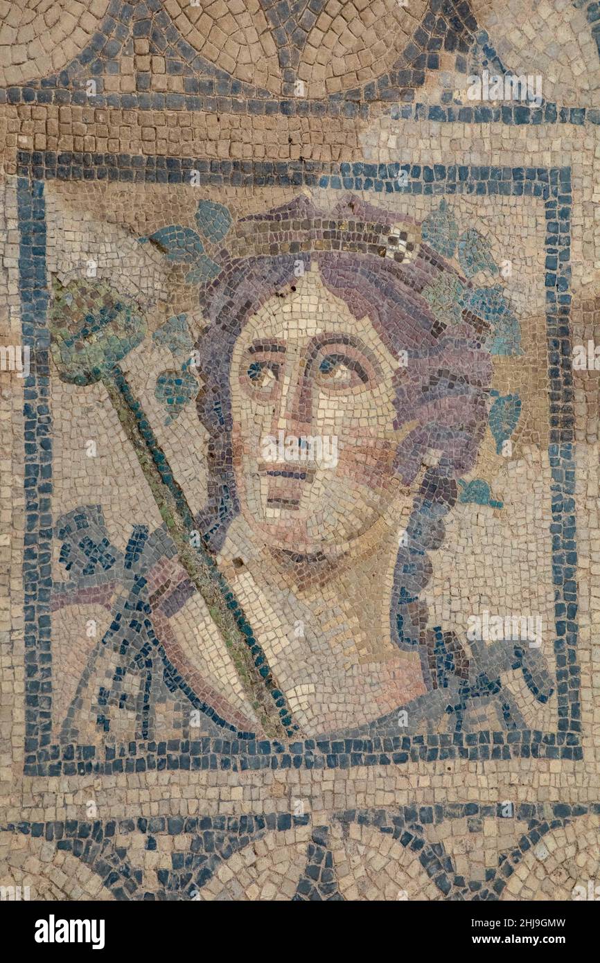 close-up-detailed-view-of-colorful-floor-mosaics-of-the-terrace-houses