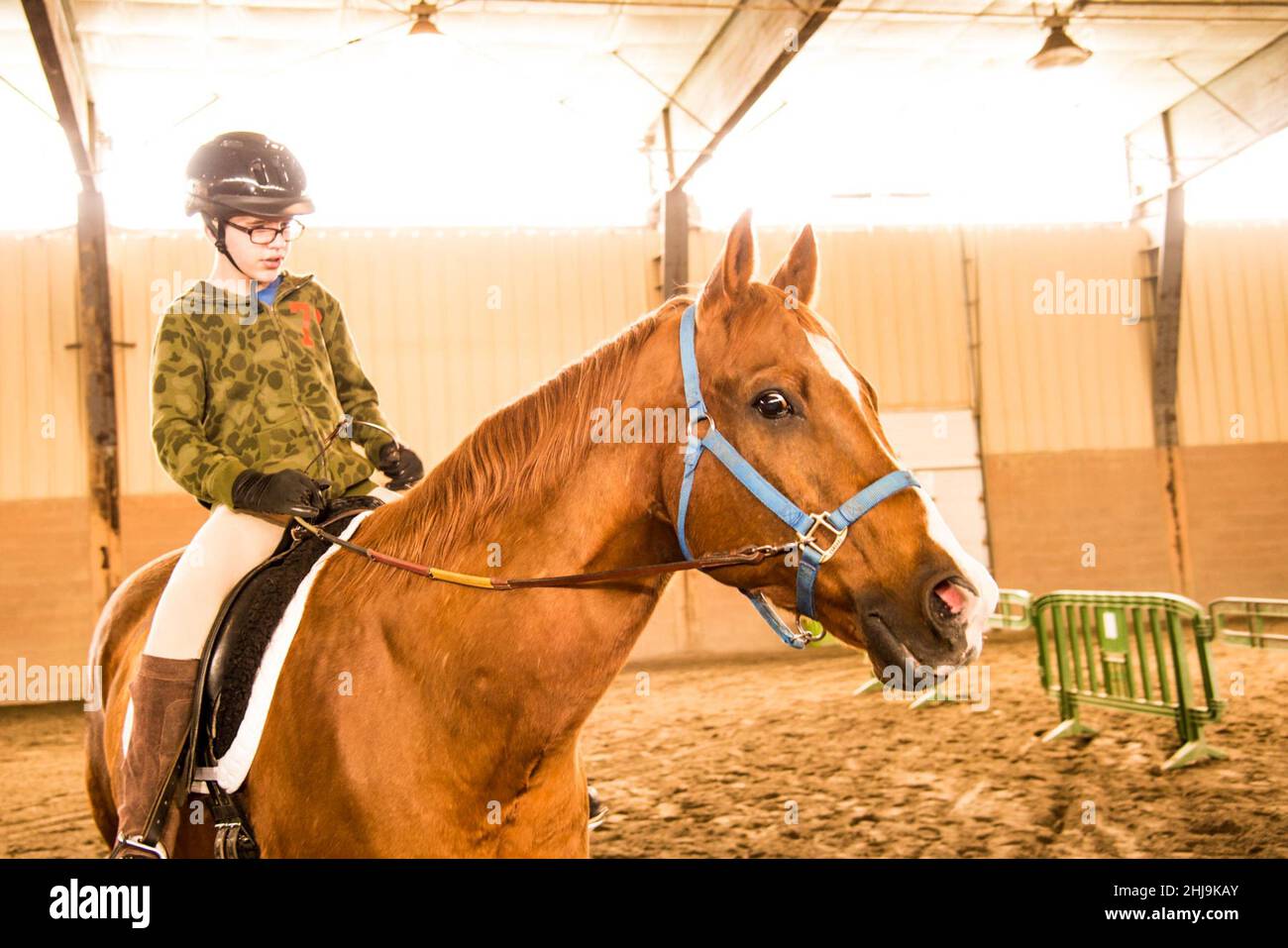 Equineassisted therapy (EAT) a range of treatments that