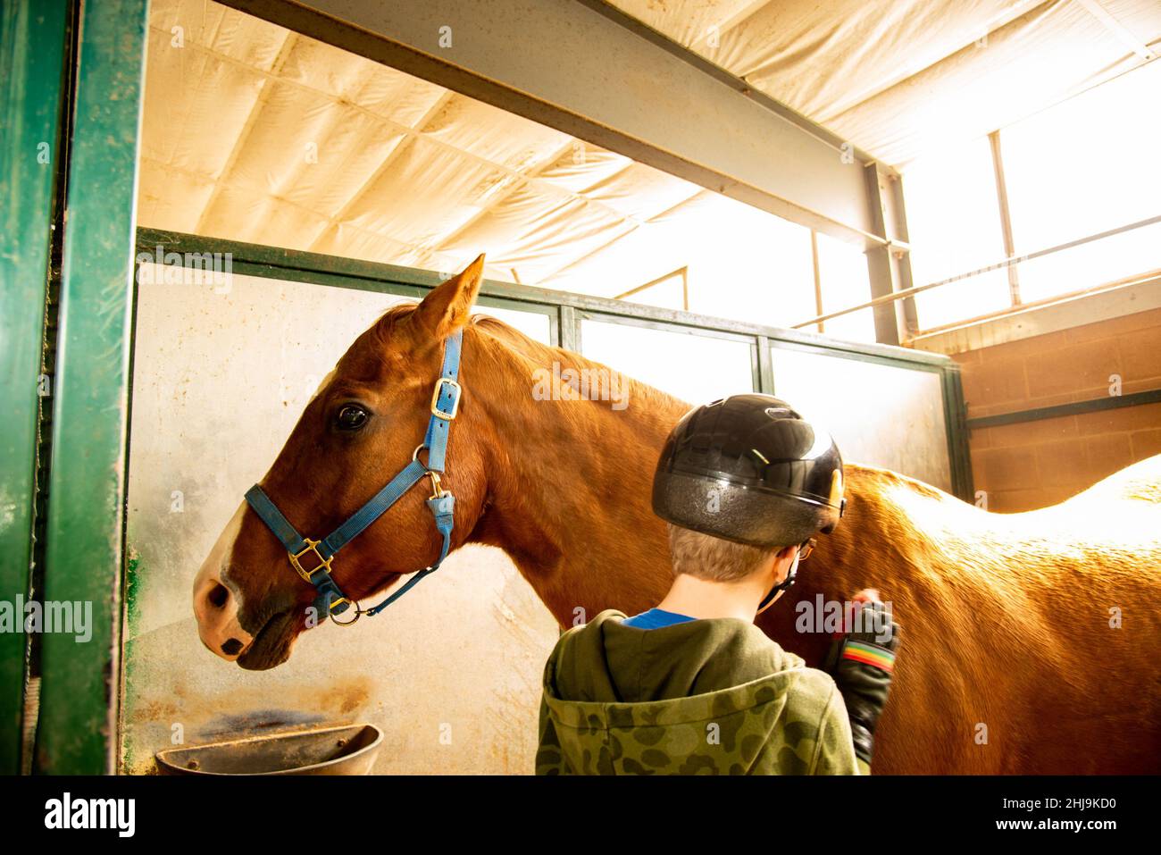Equineassisted therapy (EAT) a range of treatments that