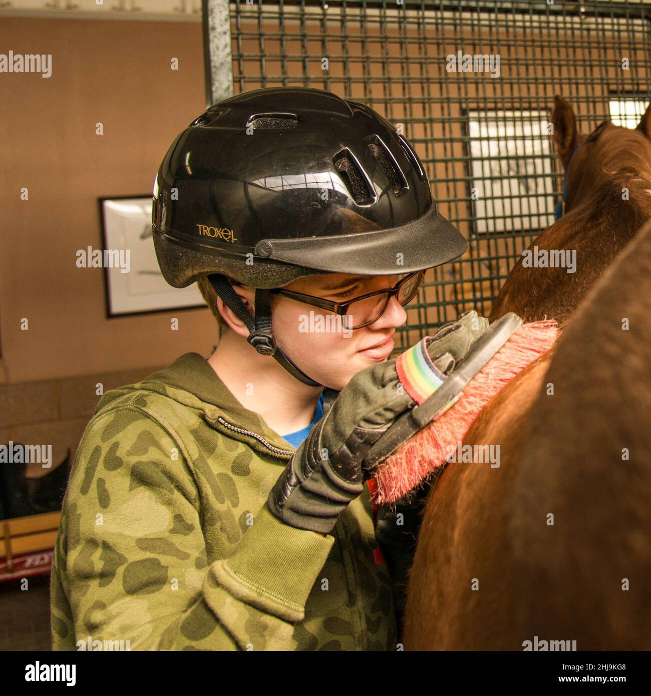 Equineassisted therapy (EAT) a range of treatments that