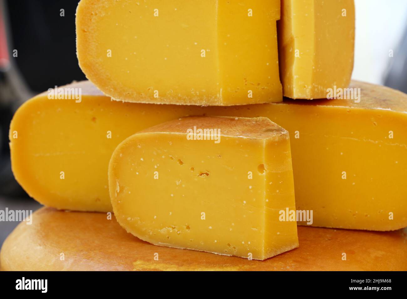 Close up cut slices and wheel of hard matured yellow gouda Dutch cheese