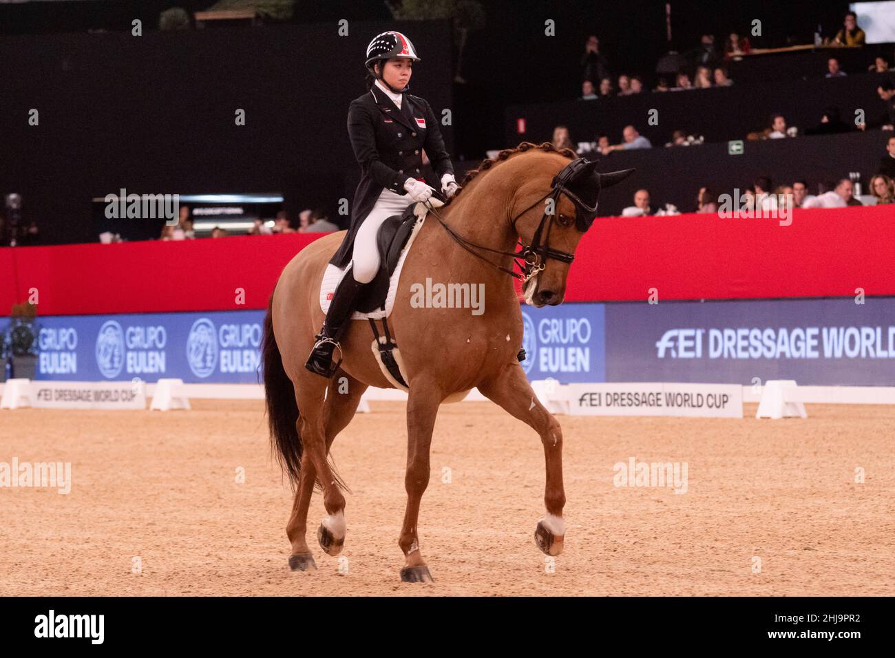 Dressage equestrian event hi res stock photography and images